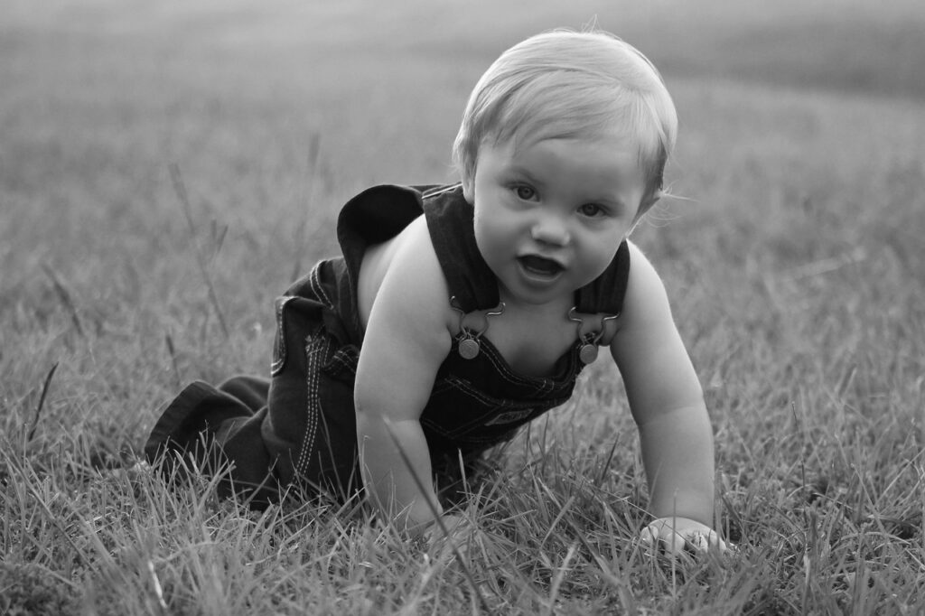 baby, boy, crawling, child, infant, happy, son, portrait, toddler, gray happy, gray portrait, gray happiness, baby, crawling, crawling, crawling, crawling, crawling