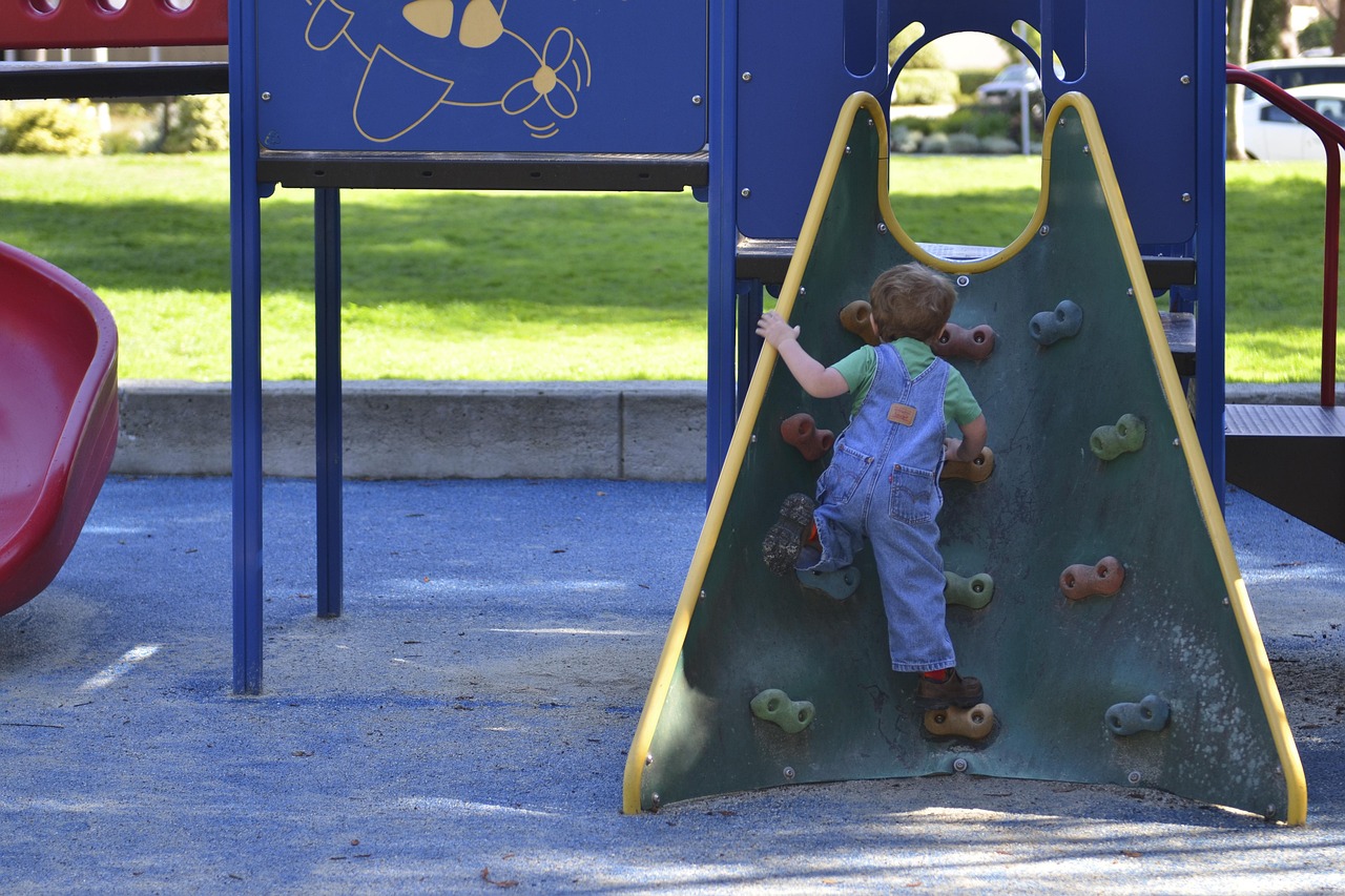 playground, boy, fun, kid, park, climb, toddler, blue park, blue fun, playground, playground, playground, playground, playground